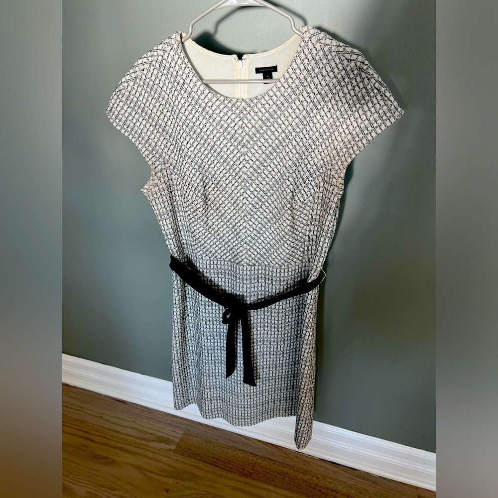 Ann Taylor Dress
